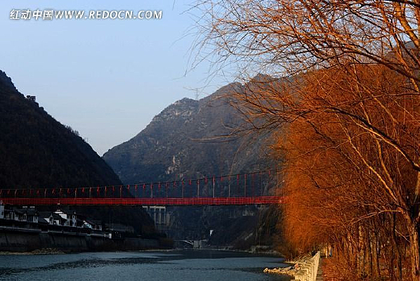 ��ɫ����