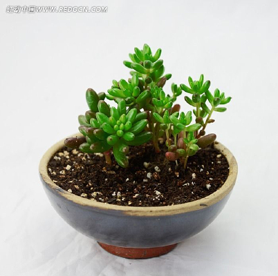 ��֮������