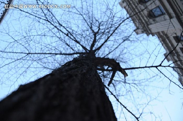 ���õĶ���