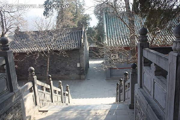 �������ھ�