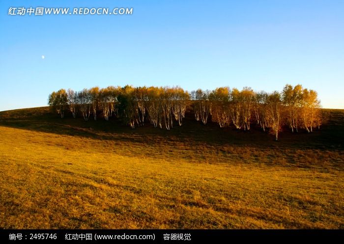 ��ԭ������ͼƬ