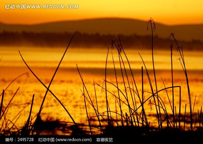 ��ϼ�е�ˮ��ͼƬ