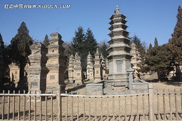 ��������ľ