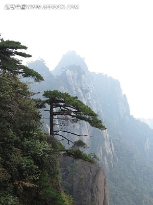 ����ɽӭ����