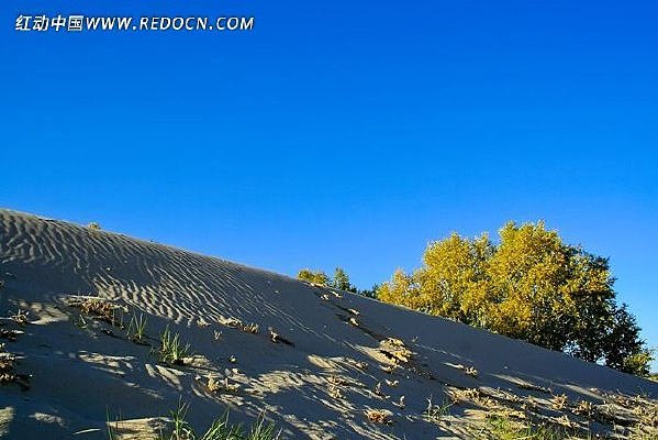 ɳĮ�еĺ�����