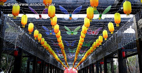 �������Ƶ���������