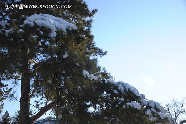 �����ֵĻ�ѩ