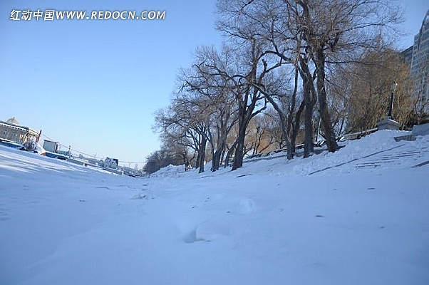 ����ѩ��