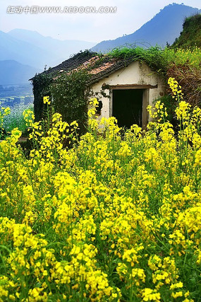 �����е�С��