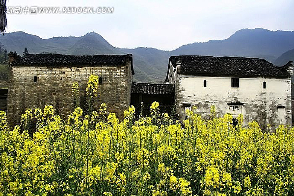 ��Դ���Ͻ���