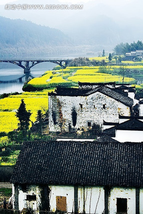 �Ͳ˻�����