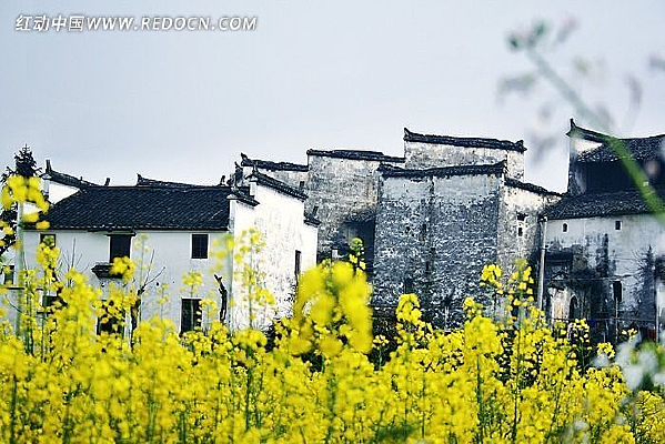 �Ŵ����Ϸ���