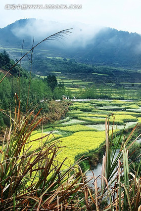 �Ͳ˻�����