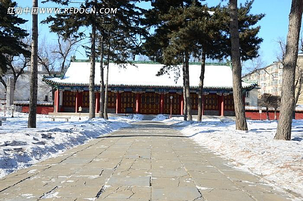 ����ѩ��