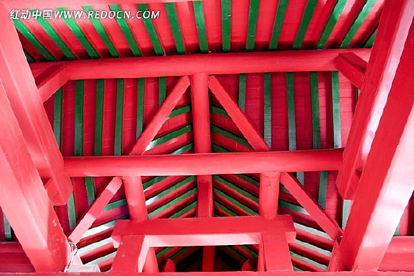 �Ž�������