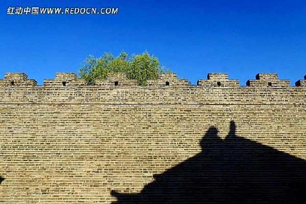 ��Ӱ�µĹų�