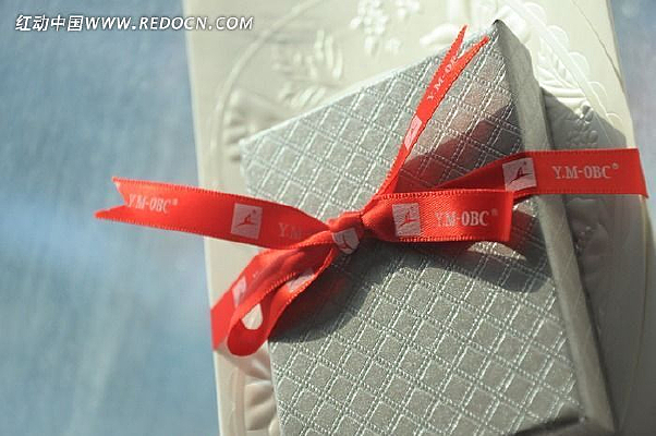 ��˿��������