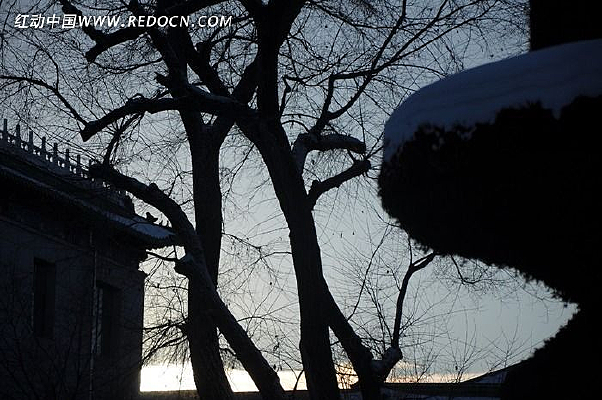 ��Ӱ����