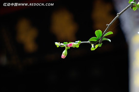 ����ŭ�ŵĻ���