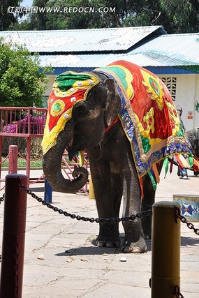 �����·�