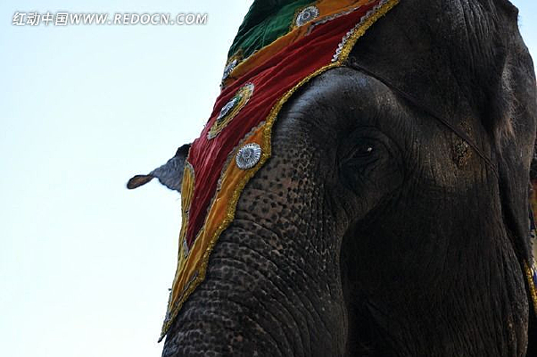 �����۾�