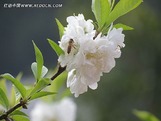 �۷��һ�����