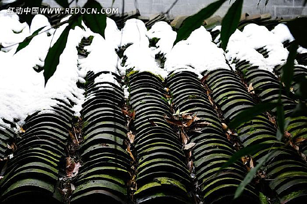 ����ɽ����