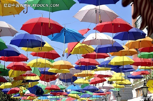 �ֵ��ϵĲ�ɫ��ɡ