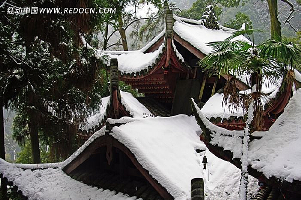 ���ɽ����