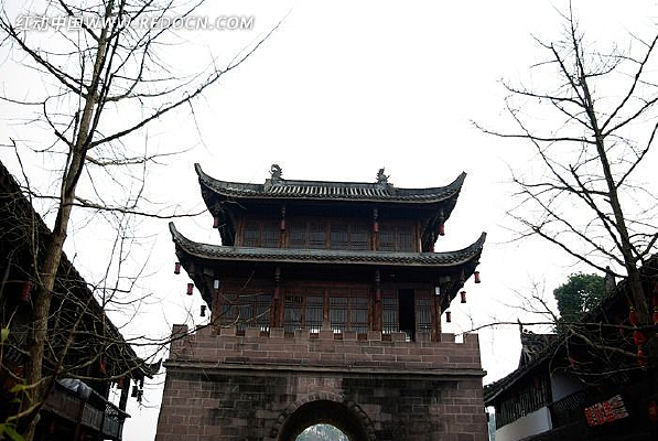 �ų���¥����