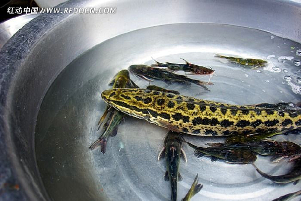 ��ˮ����