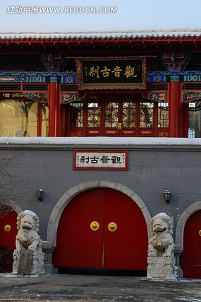 ����¥����