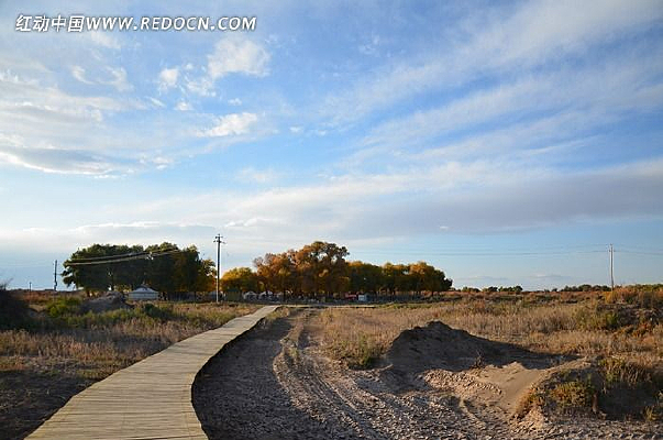 Ψ������С·