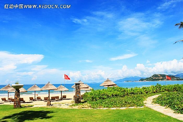 �ݵط�����ľ