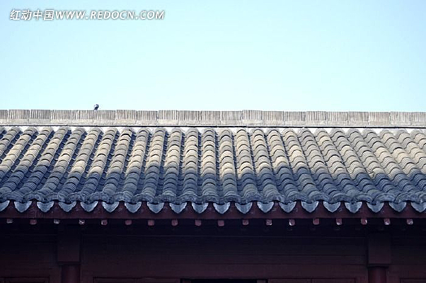 �������Ƭ