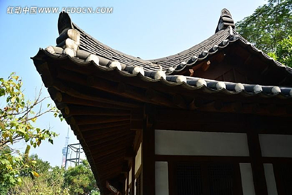 ������ʤ�ż�