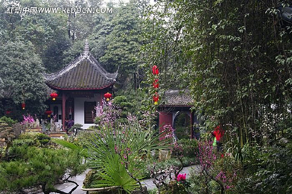 �Ÿ������辰԰