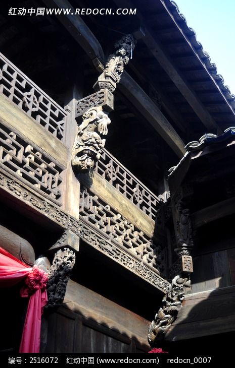 �����µĵ񻨹���ͼƬ