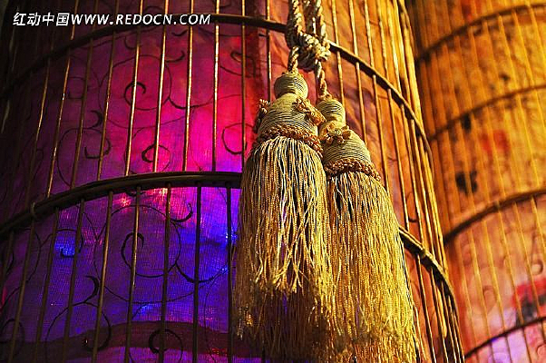 ��֯����