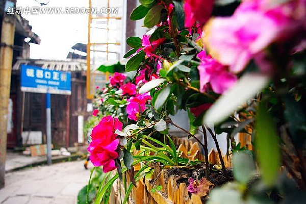 ���컨��԰