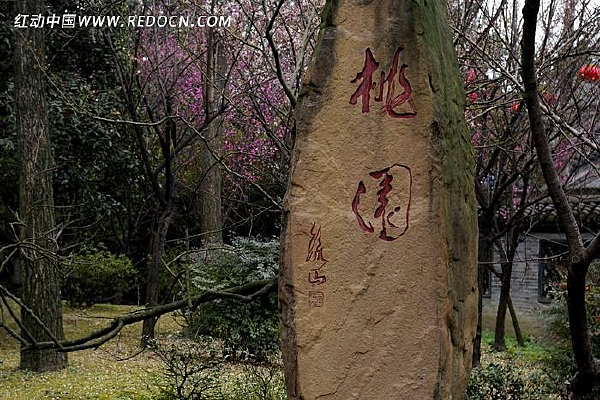 �������԰