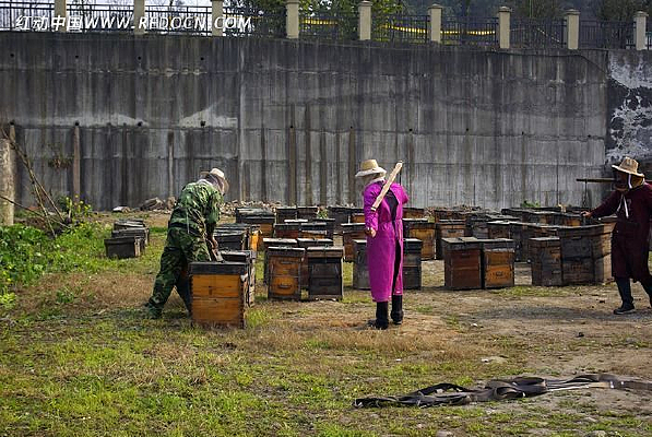 ���ڵ��Ͷ�