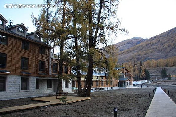 ����˹����