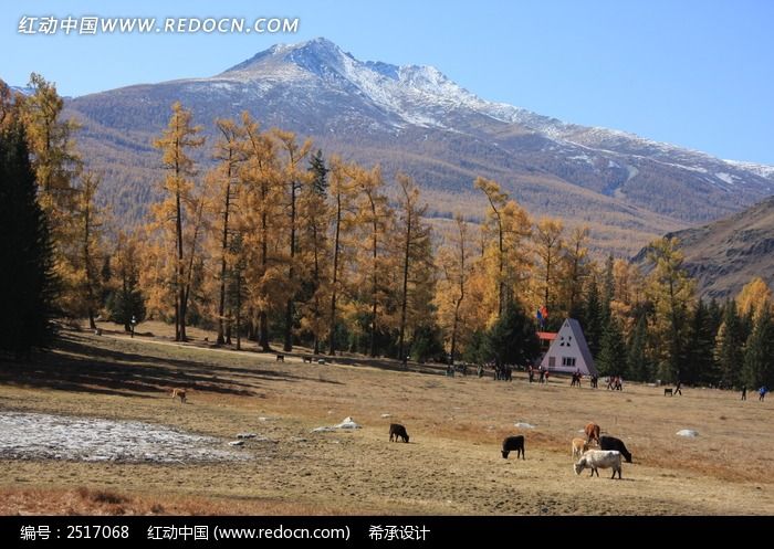 �½�  ����˹  ��Ȼ��� ɭ�� ���   ѩɽͼƬ