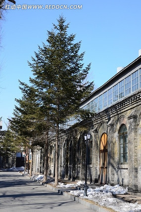 ���ֻ�е��