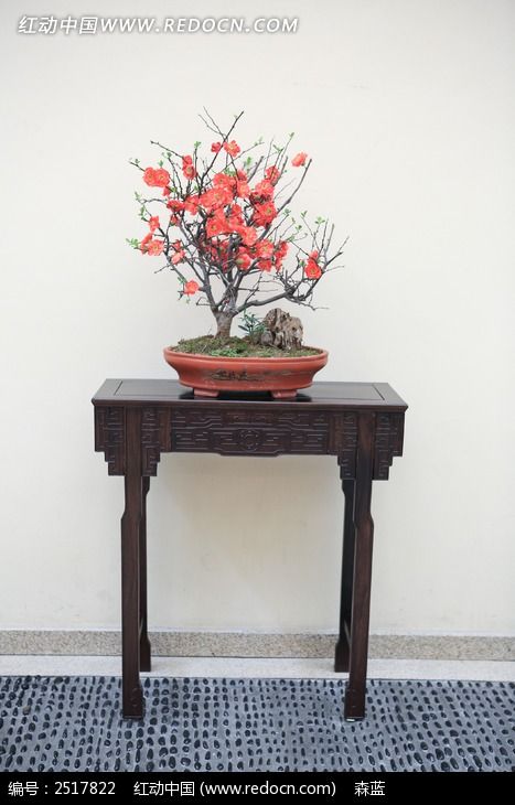 �й��ŵ�Ҿ�ͼƬ