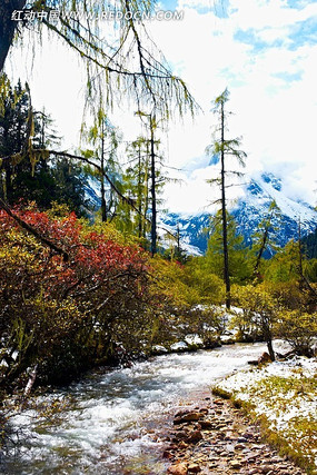 ���﹵�羰��