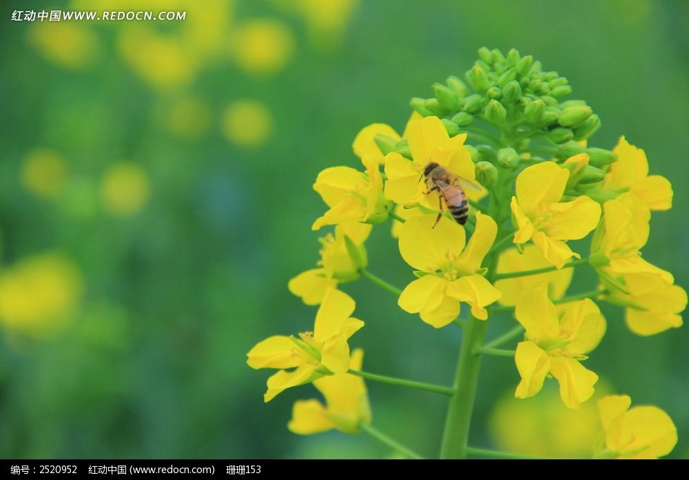 �Ͳ˻��ϵ��۷�ͼƬ