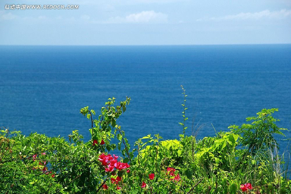 ������Ȼ����