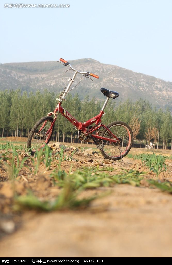 Ұ�����г�ͼƬ